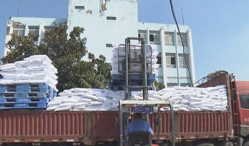 懷遠農產品香飄全國，水利建設鑄就豐收基石