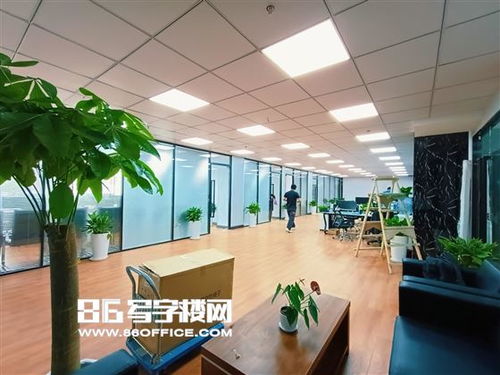 上海保周創(chuàng)新中心出租 進(jìn)出口業(yè)務(wù) 貨代 航運(yùn) 報(bào)關(guān) 物流 第三方物流 電商 直播等 86寫字樓網(wǎng)